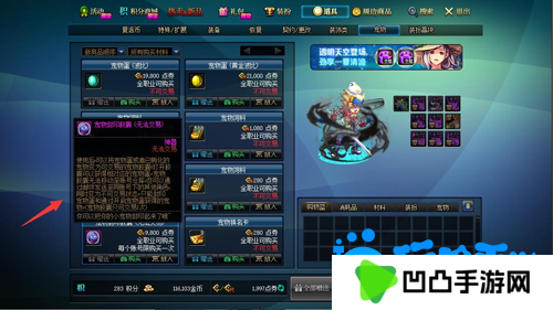 《DNF》宠物胶囊使用方法