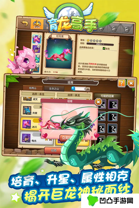 育龙高手vivo版