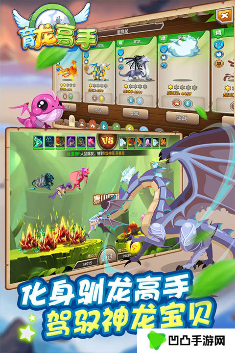 育龙高手vivo版