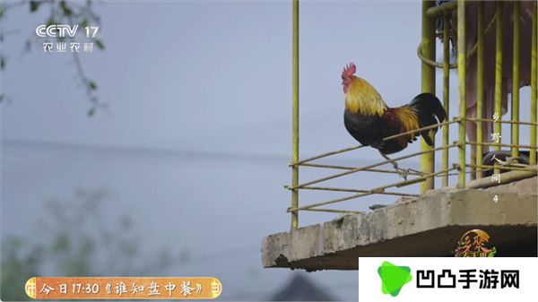 全能看tv