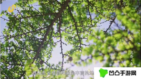爱尚电视