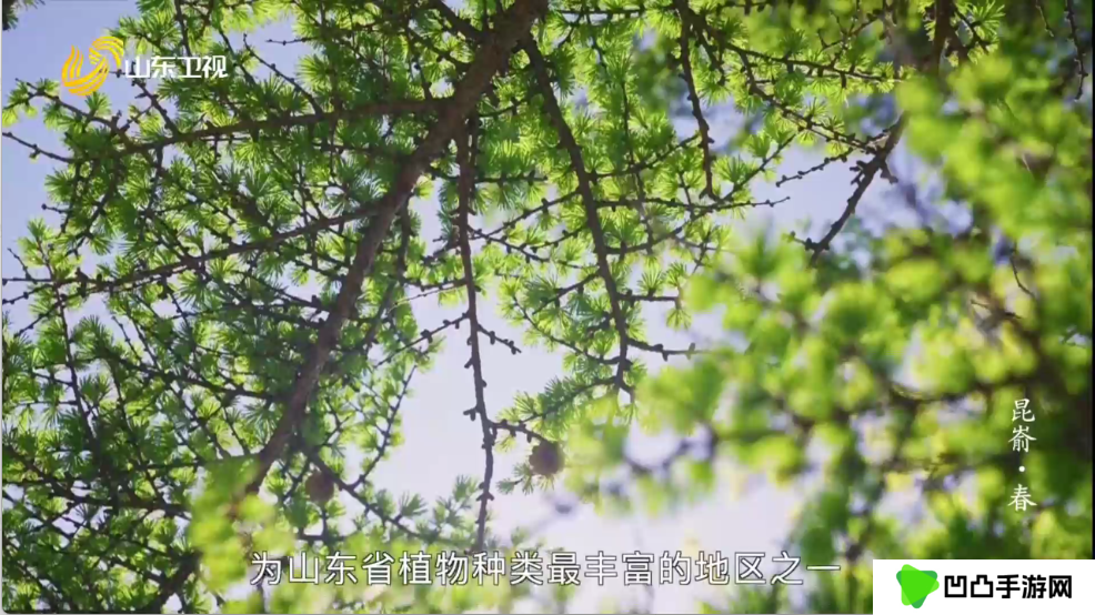爱尚电视
